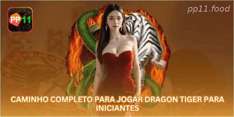 Caminho completo para jogar Dragon Tiger para iniciantes.